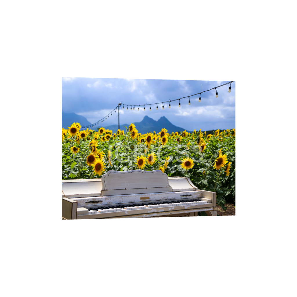 ptq_1_6_480_0_4800_3840_0_false_ffffff_0_0_f2296038ef96964a6df5d5aed7520233.png