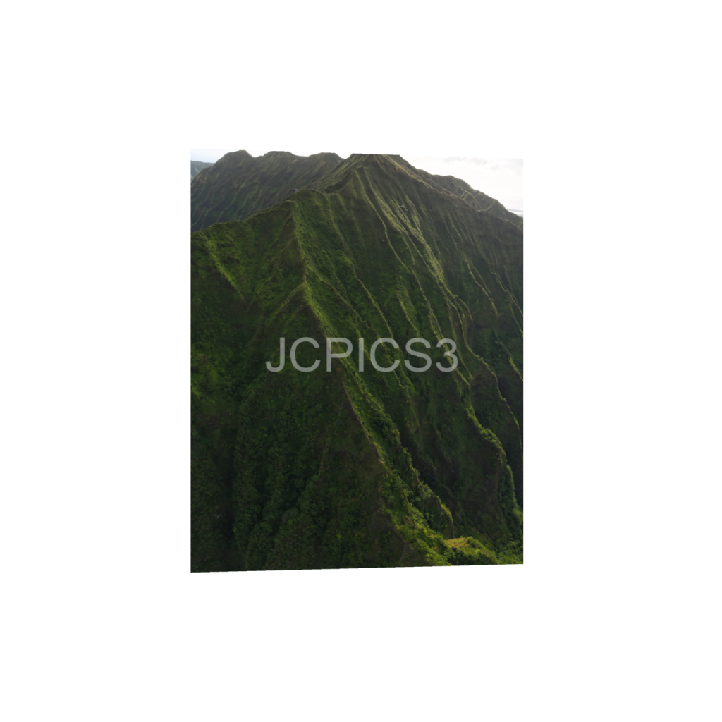 ptq_1_6_0_480_3840_4800_0_false_ffffff_0_0_f2296038ef96964a6df5d5aed7520233.png