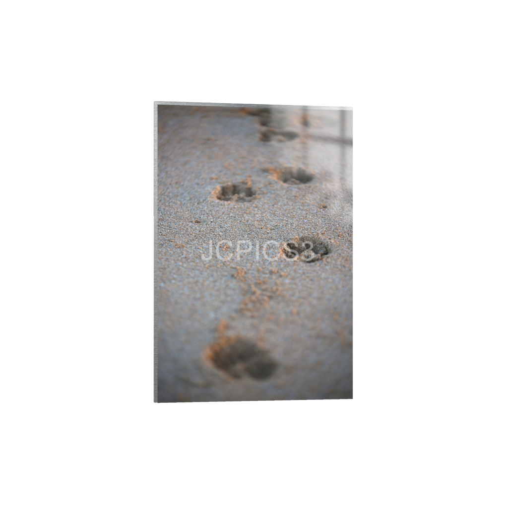 ptq_13_3_0_0_3840_5760_0_false_ffffff_0_0_f2296038ef96964a6df5d5aed7520233.png