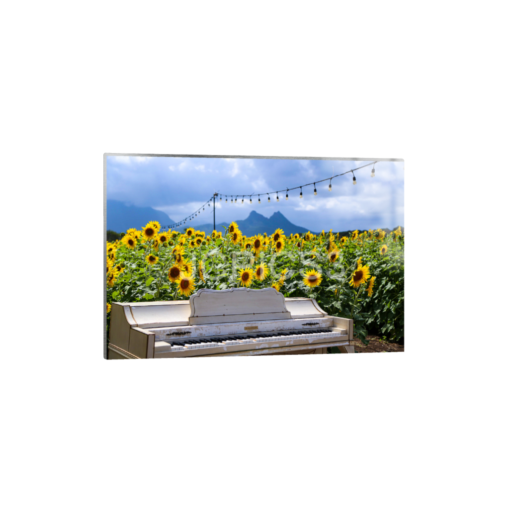ptq_13_3_0_0_5760_3840_0_false_ffffff_0_0_f2296038ef96964a6df5d5aed7520233.png