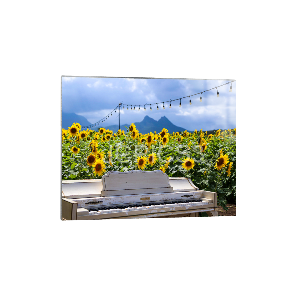 ptq_13_6_480_0_4800_3840_0_false_ffffff_0_0_f2296038ef96964a6df5d5aed7520233.png