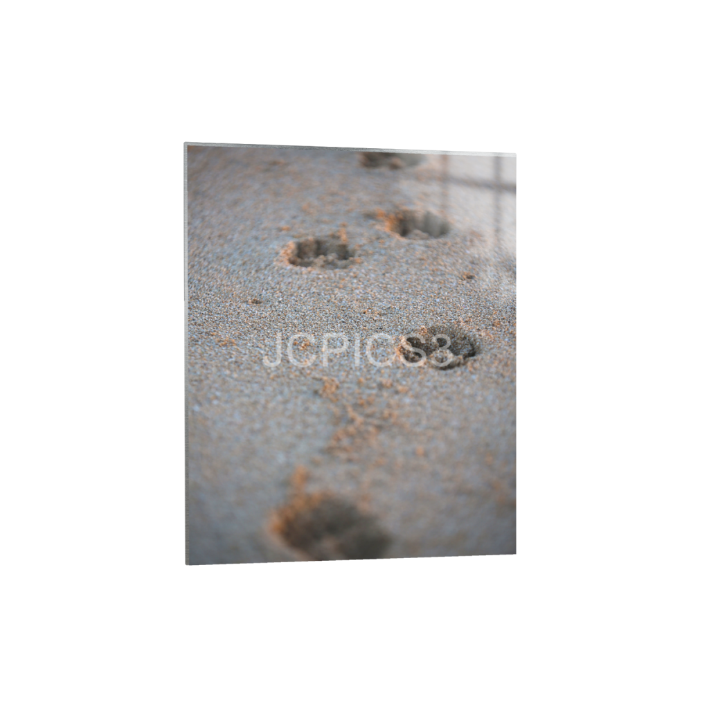 ptq_13_6_0_450_3600_4500_0_false_ffffff_0_0_f2296038ef96964a6df5d5aed7520233.png