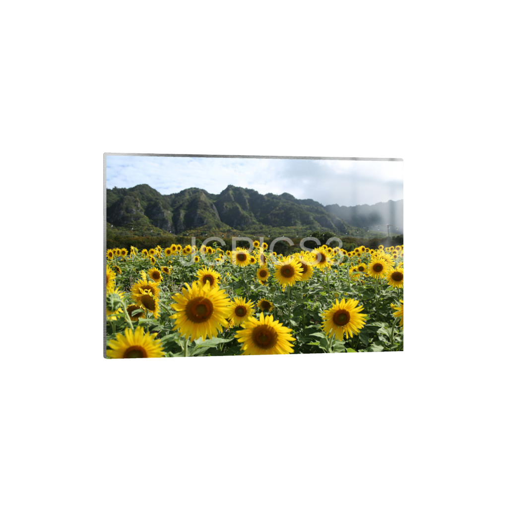 ptq_13_3_0_0_5760_3840_0_false_ffffff_0_0_f2296038ef96964a6df5d5aed7520233.png
