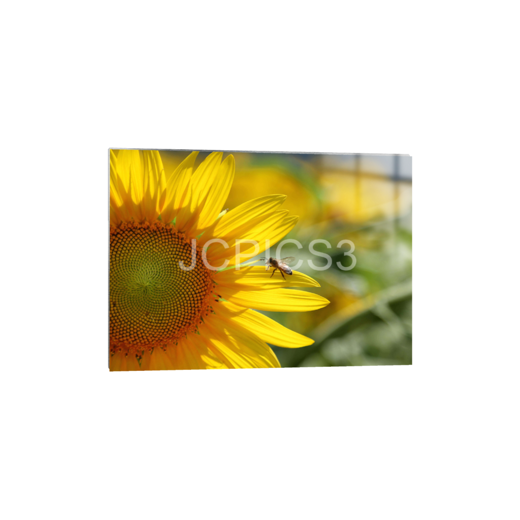 ptq_13_7_192_0_5376_3840_0_false_ffffff_0_0_f2296038ef96964a6df5d5aed7520233.png