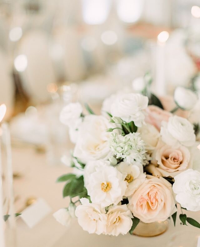 THE COLLECTIVE Toast + Lace &amp; Luce⁠
⁠
We're extremely excited to announce our new partnership. ⁠
⁠
Meticulously designed weddings, captured by my friends and colleagues at @laceandluce. ⁠
⁠
We've developed a client experience unlike any other.⁠
⁠