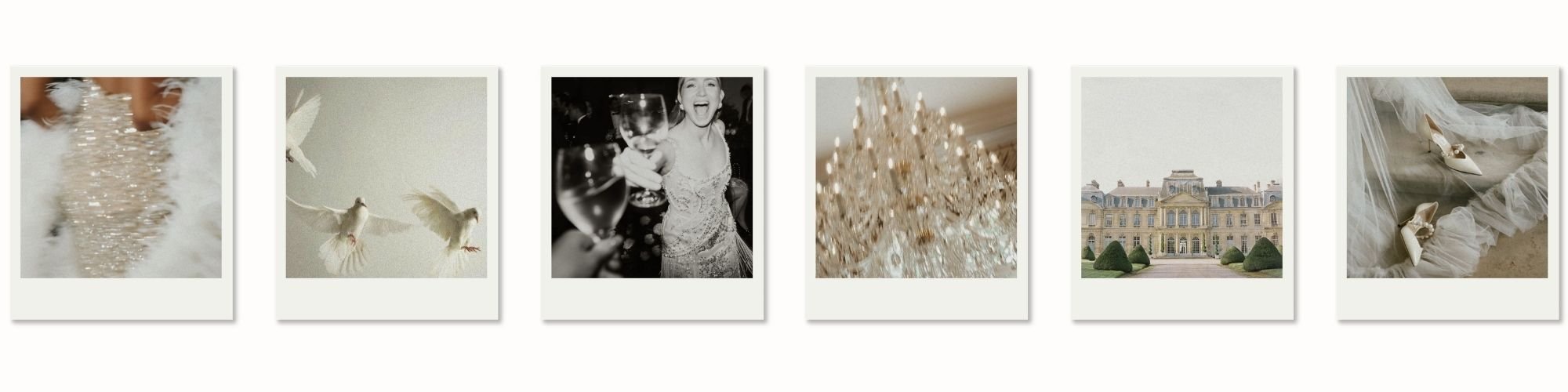 Polaroid images of toast events weddings