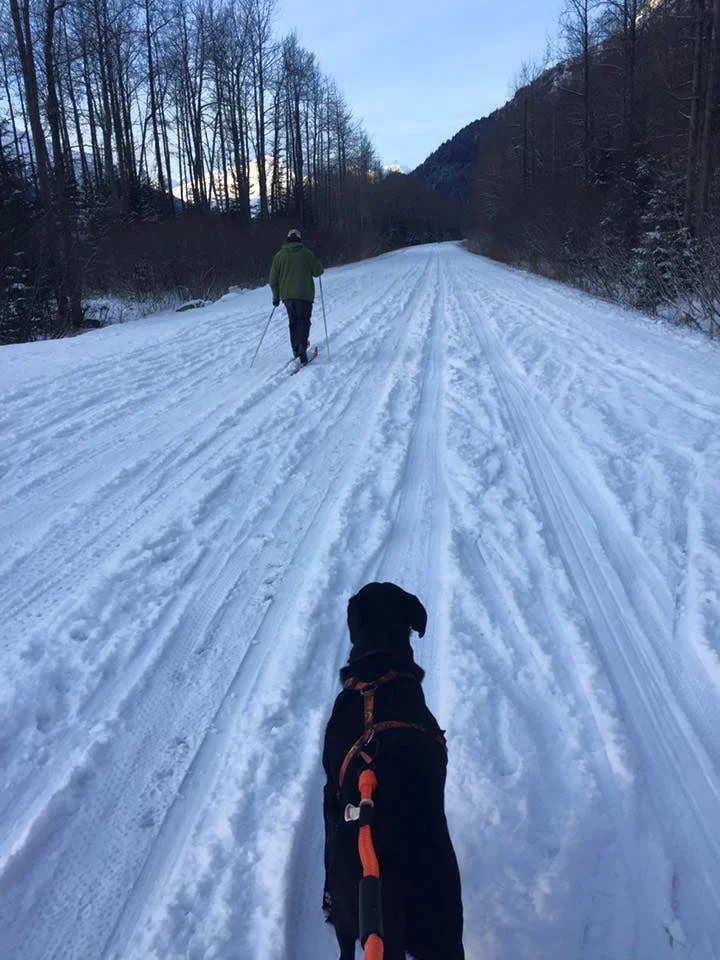 Skiing Exit Glacier Road