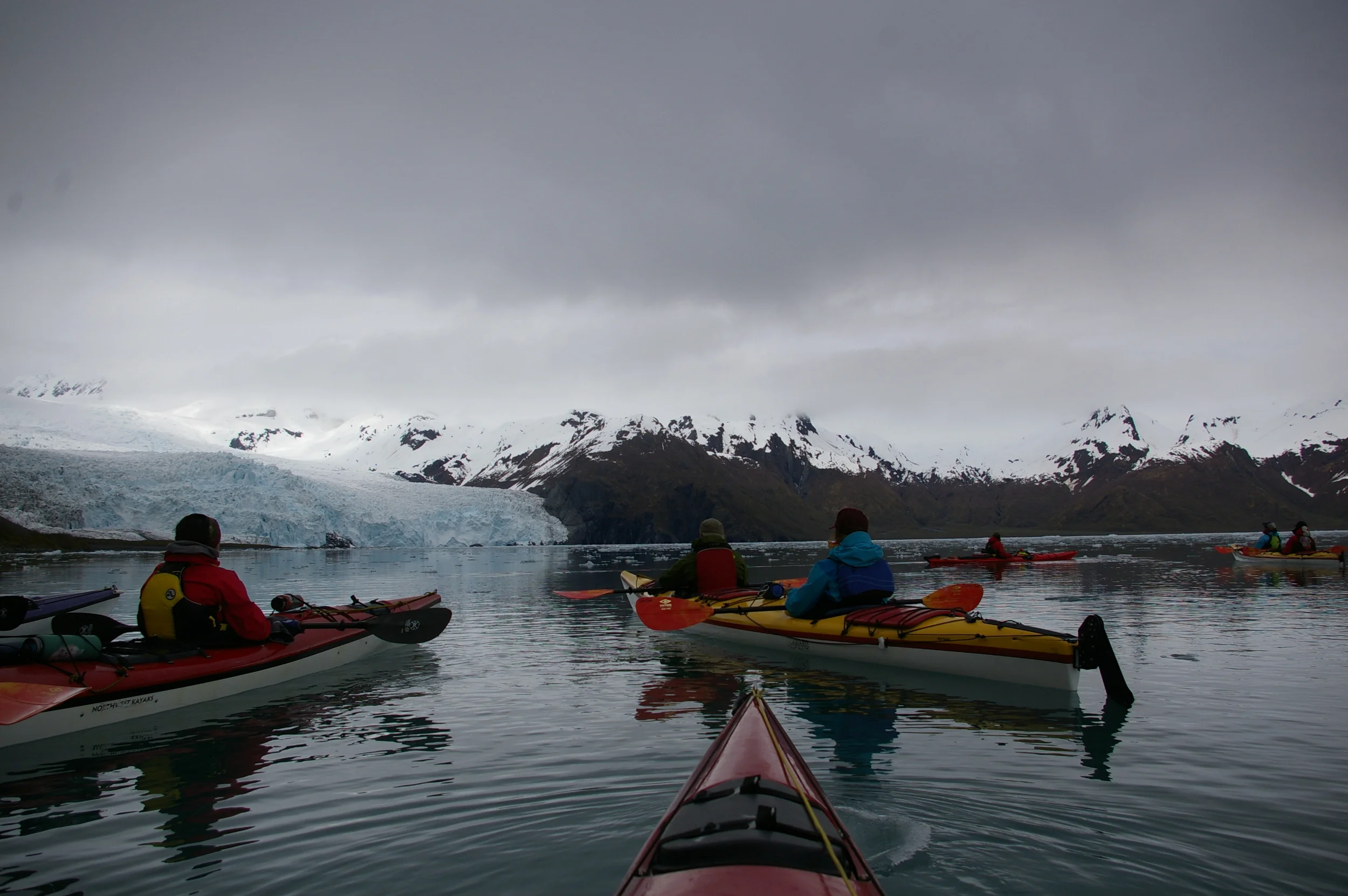 The Sunny Cove staff basking in the beauty of Aialik Glacier