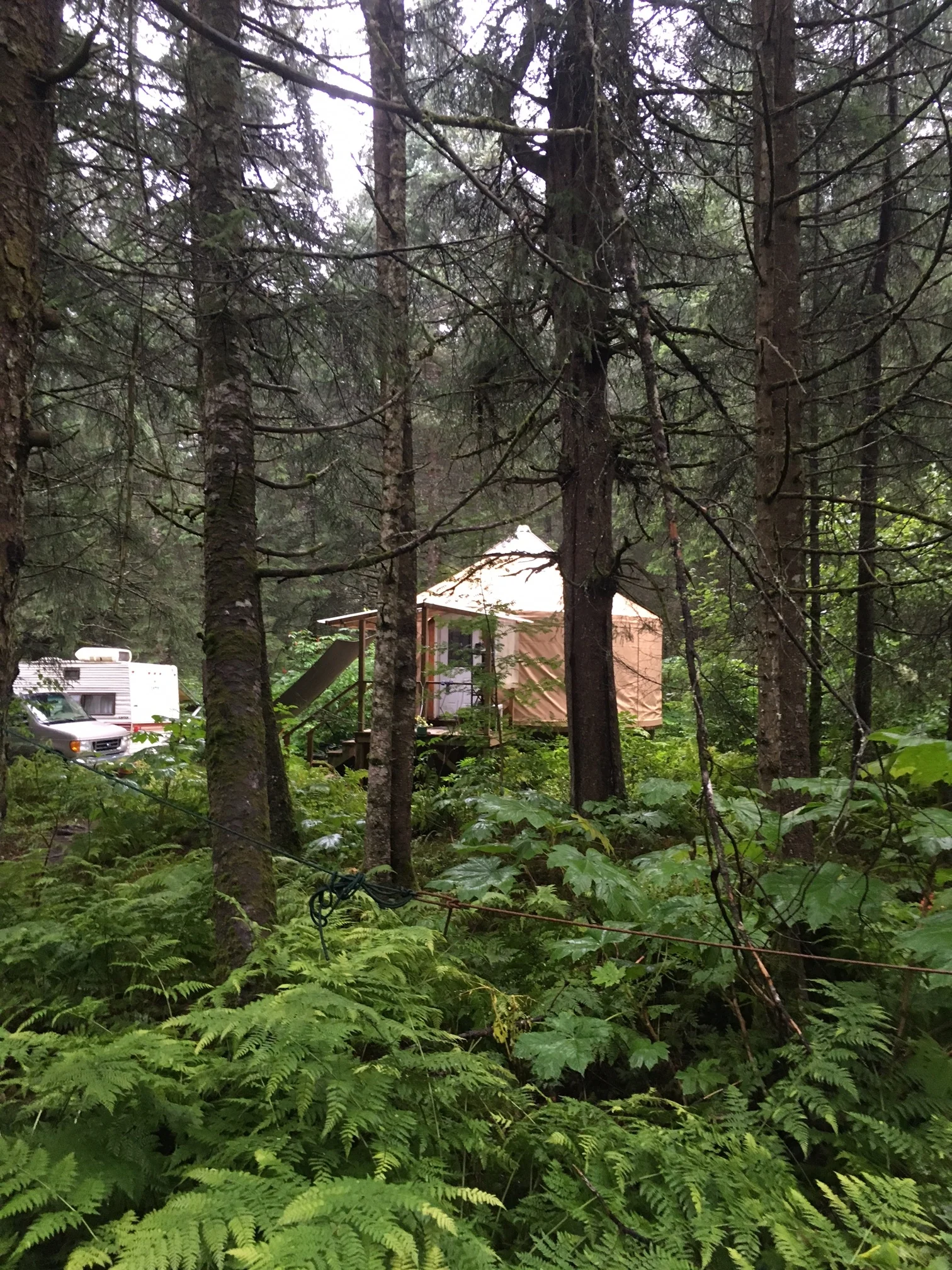 The Sunny Cove yurt