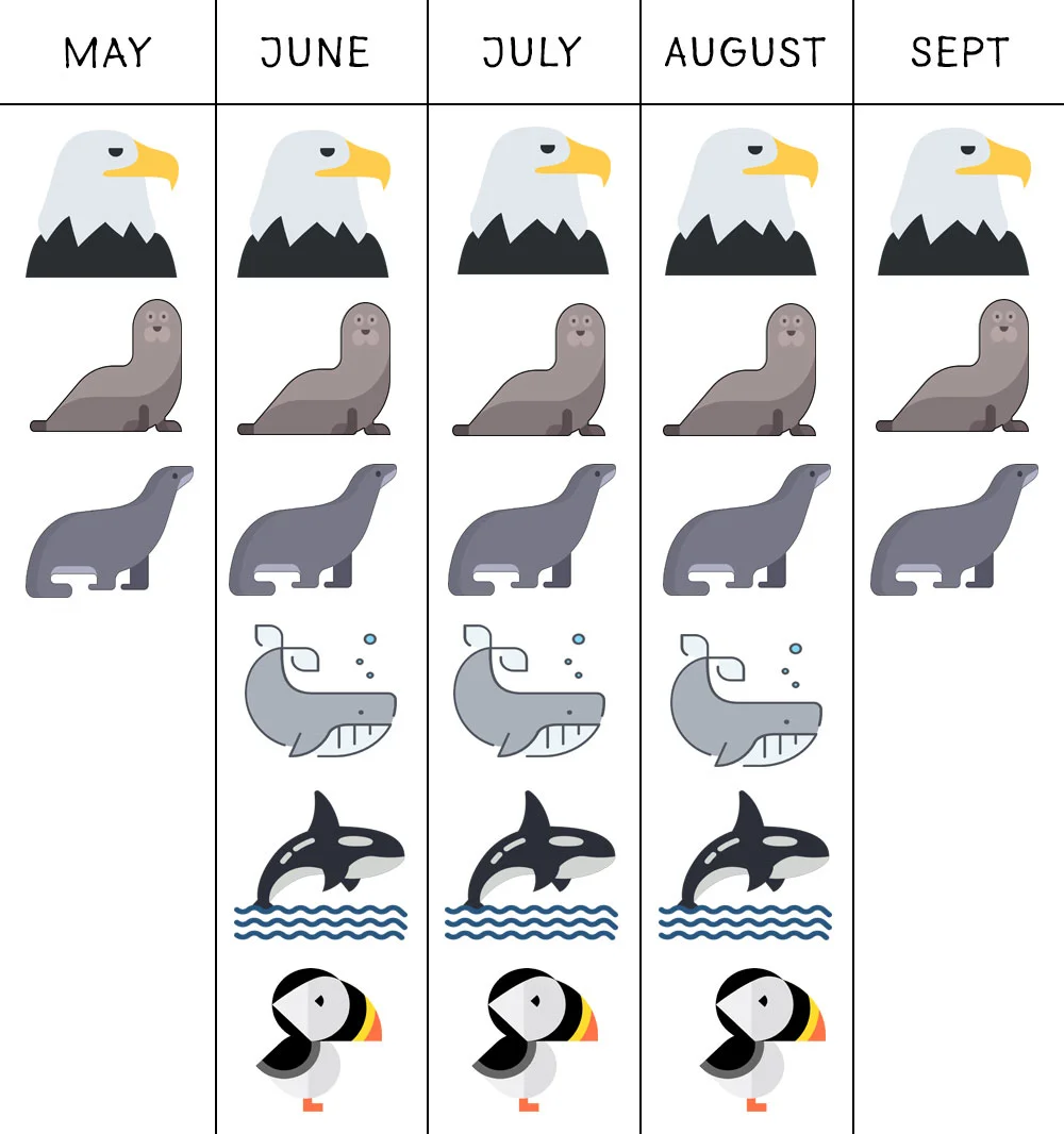 Wildlife Viewing Guide Seward ALaska