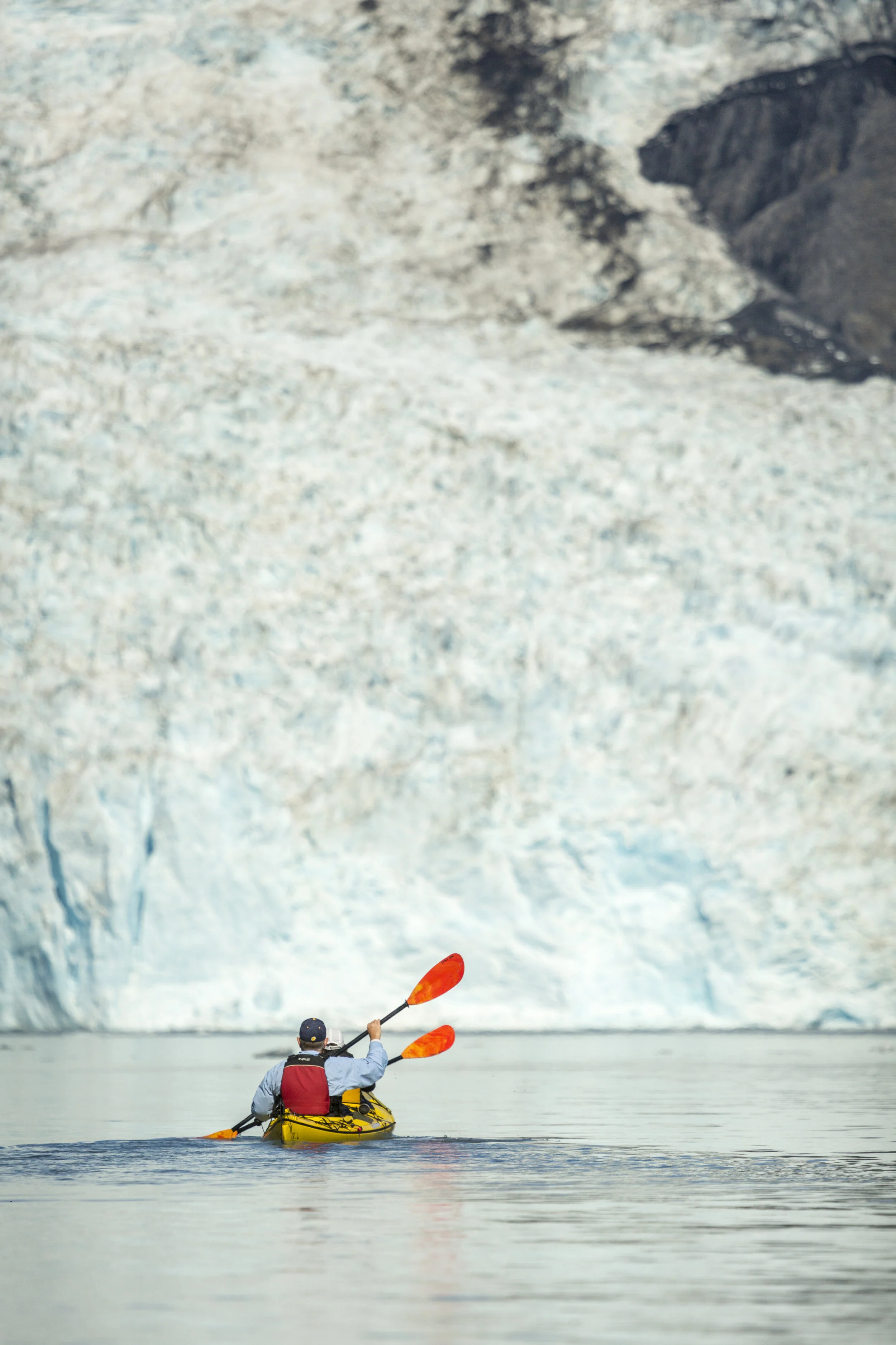 Sunny Cove Kayaking, Hiking, Wildlife & Glacier Cruises Seward, Alaska