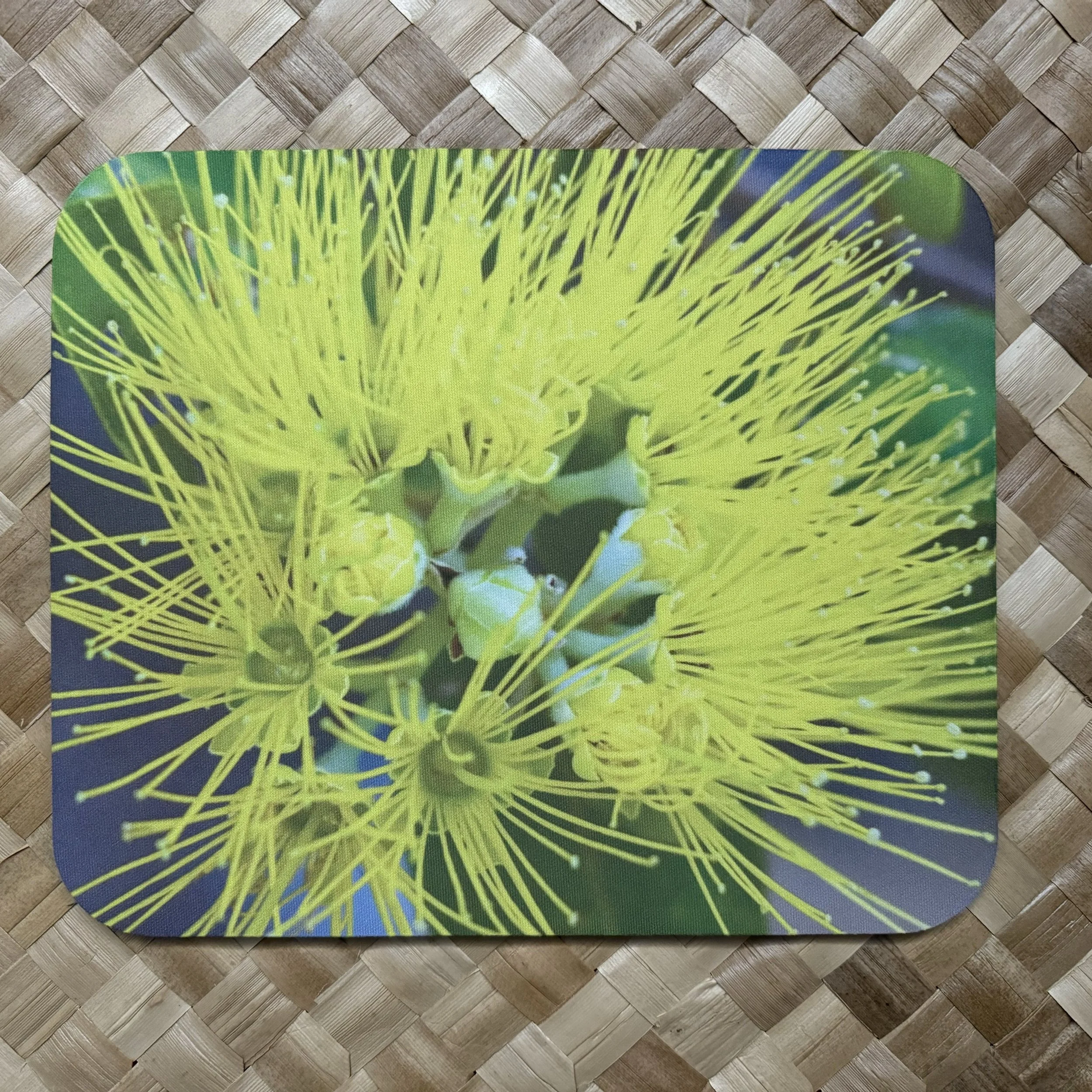 'Ohi'a mamo mousepad.jpg