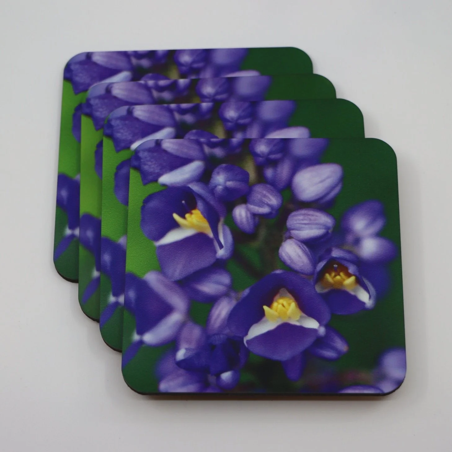 Blue Ginger Coaster Alohi Images Maui Blue Ginger Coaster Alohi Images Maui