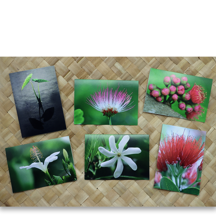 Pualani Set.png