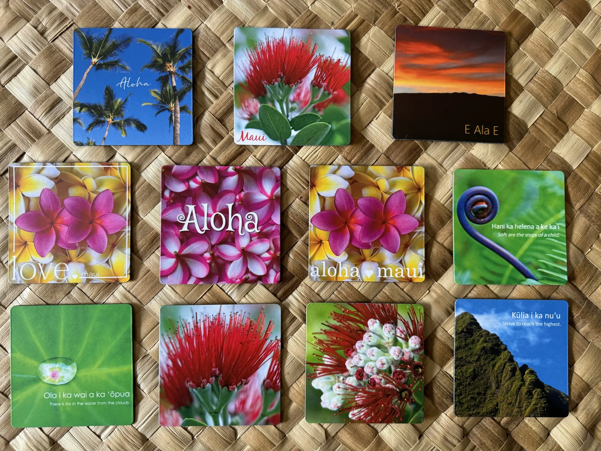 IMG_7869 (magnets).jpg