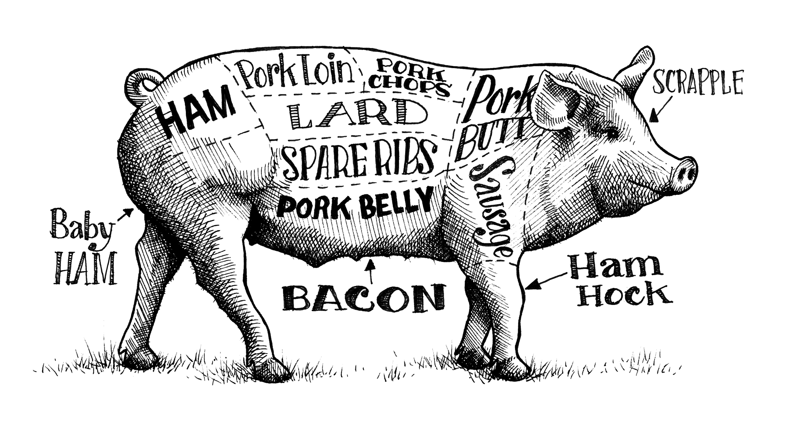 Whole Hog Chart.jpg