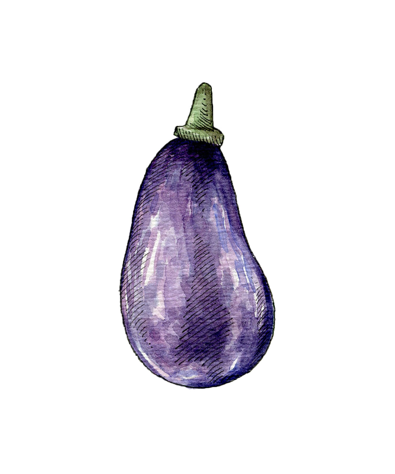 eggplant_illustration.jpg