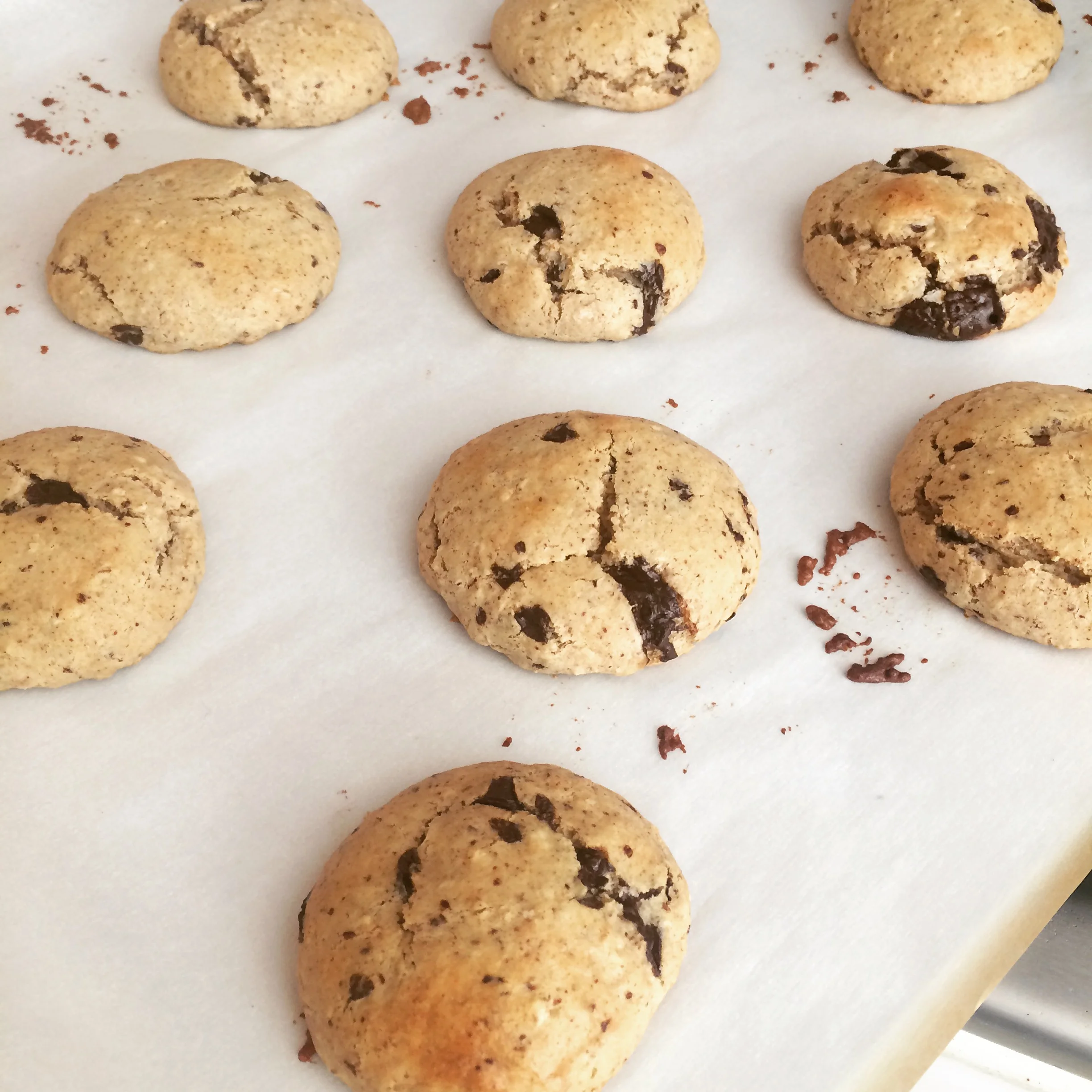Dark chocolate almond butter cookies 