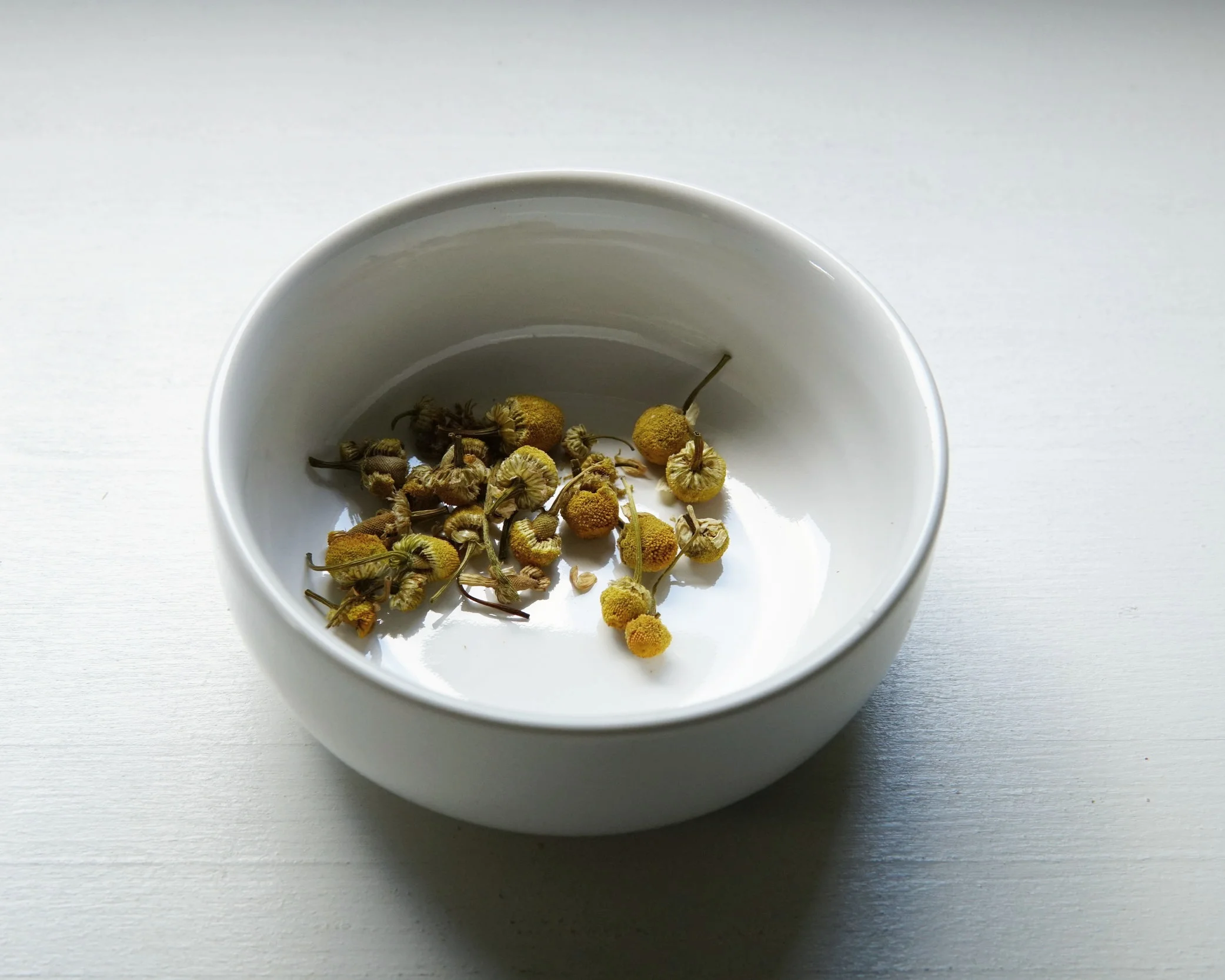 h-chamomile.jpg
