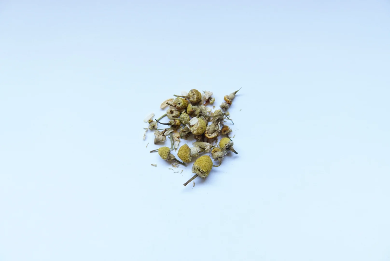 H- Chamomile.JPG