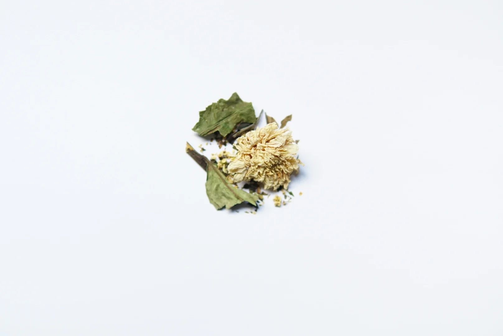 W- Wildflower.JPG
