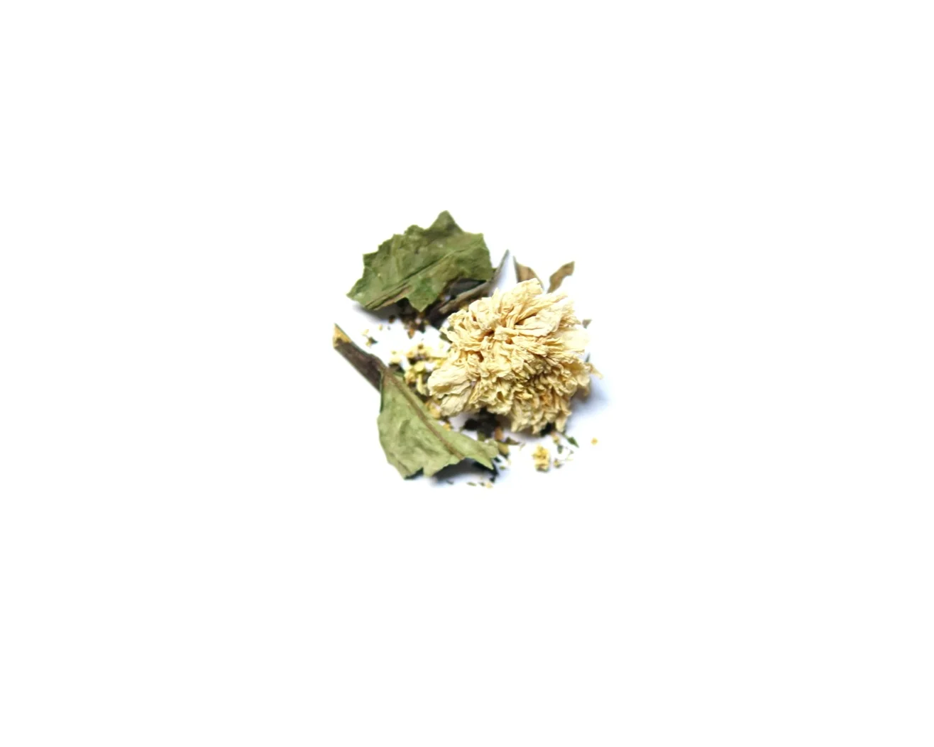 W-+Wildflower.jpg