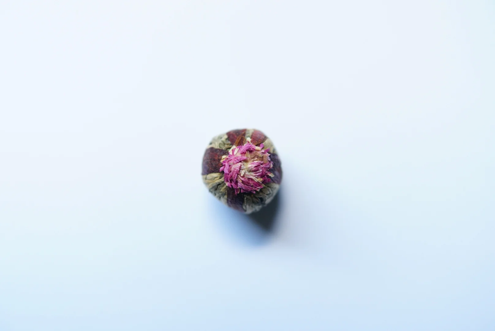 S- Blooming.JPG
