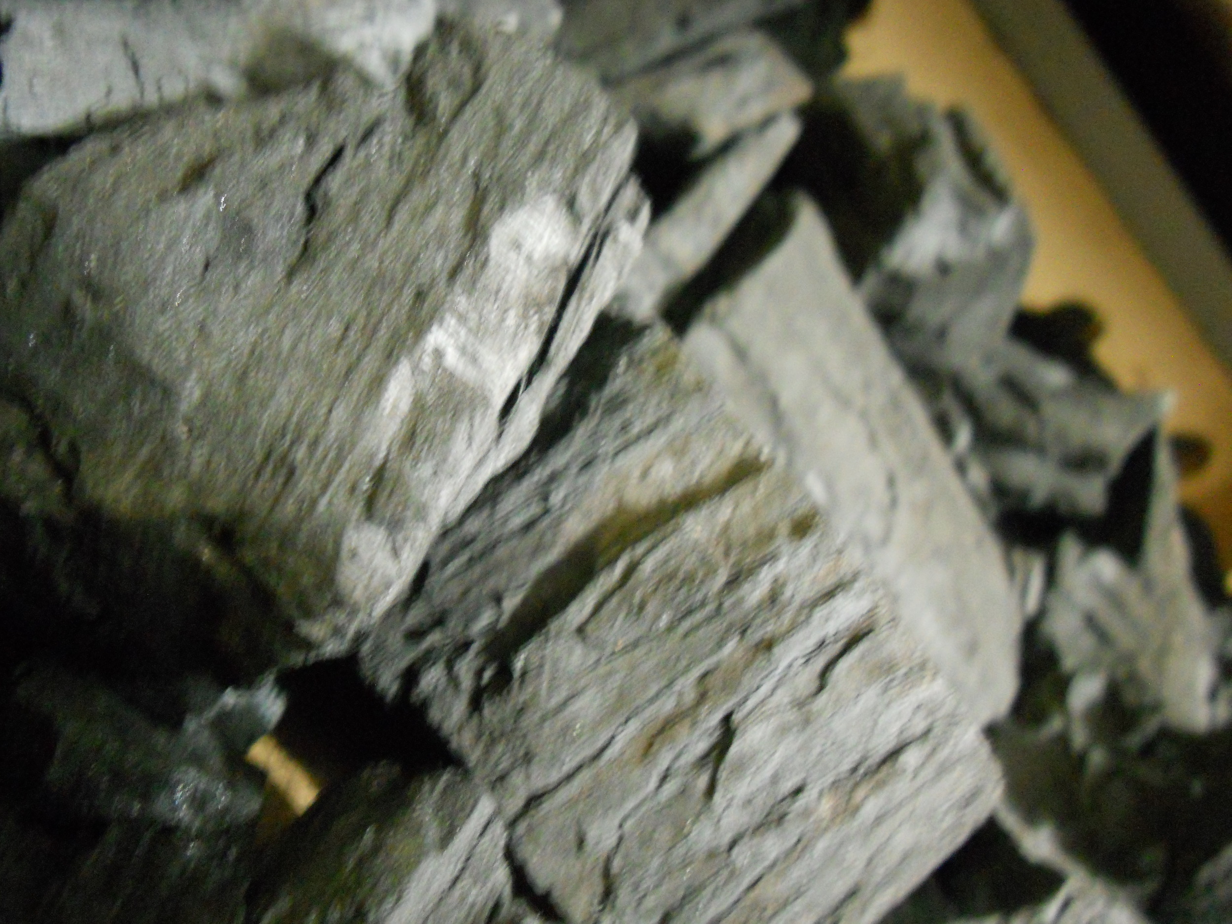 Activated Charcoal 