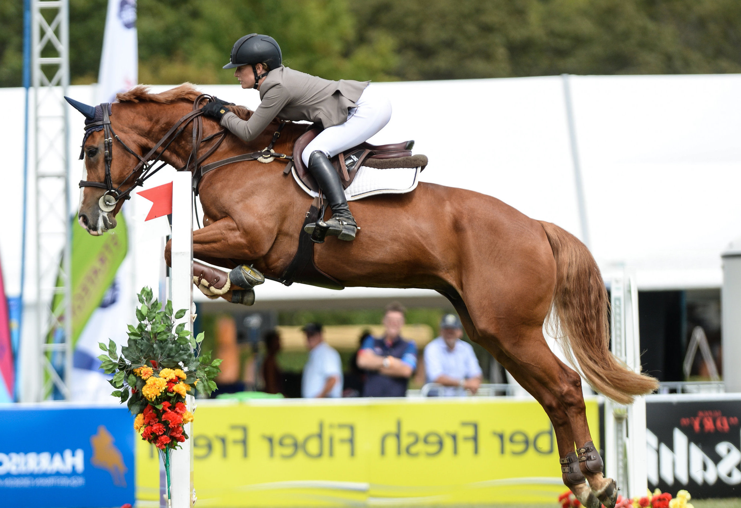 Moore's+Riding+Wear (1).jpeg