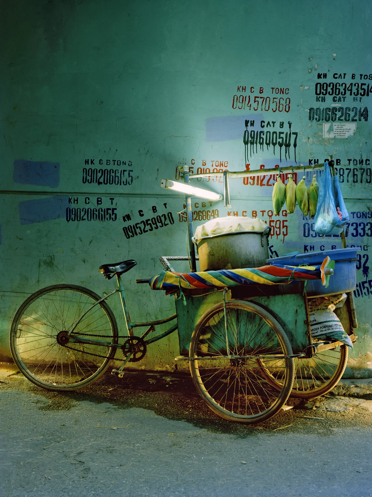 Corn bike, Hanoi, Vietnam, 2009
