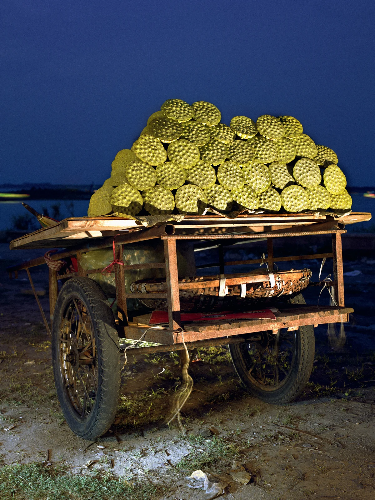 Lotus cart, Phnom Penh, Cambodia, 2010