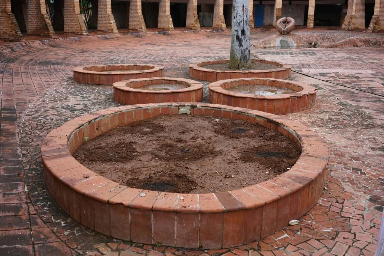 Garden after planting on the Campus of the National Art School, Instituto Superior de Arte, Cuba, June, 2016