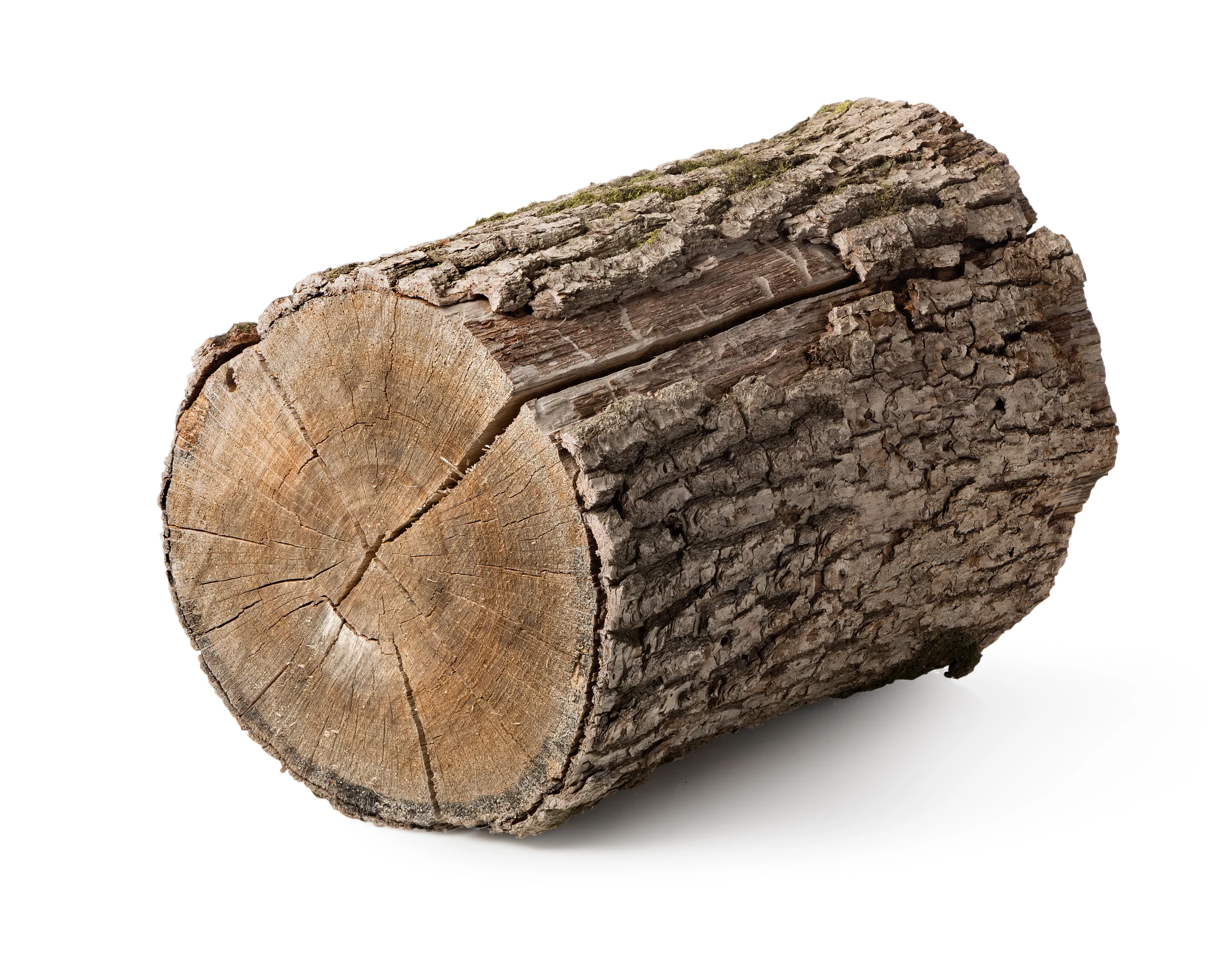 Stump isolated