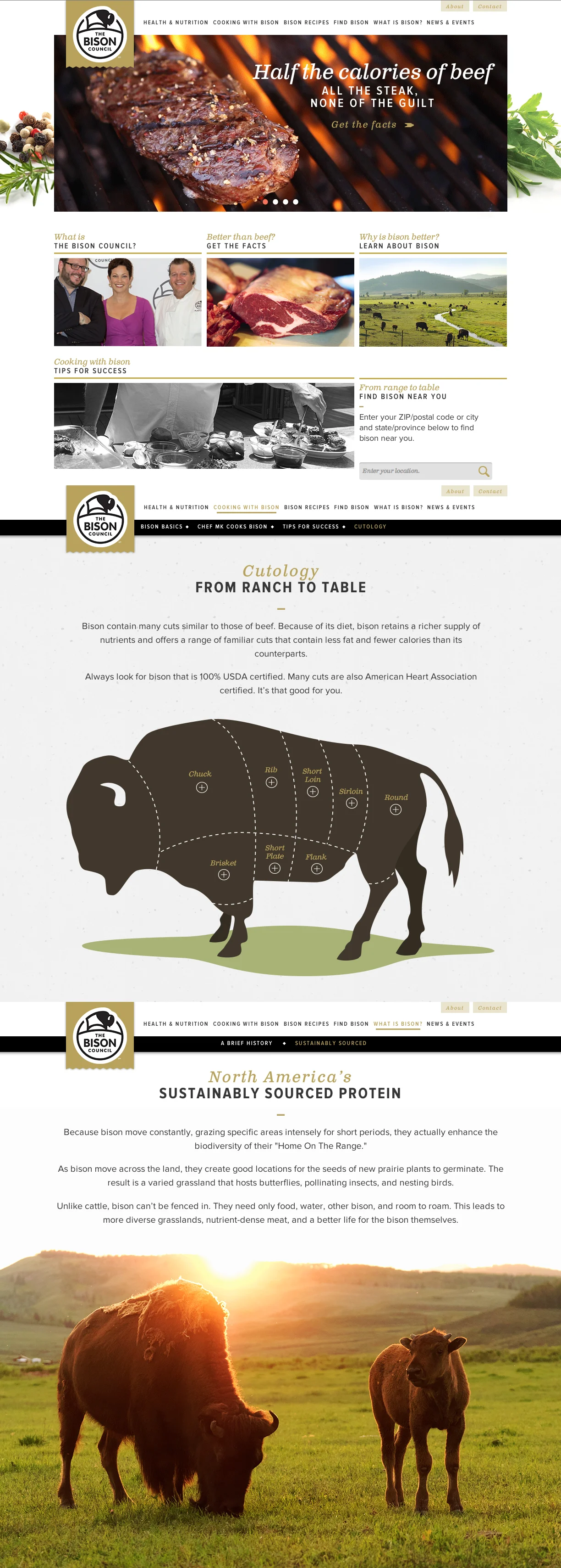 TBC website Scroll.jpg