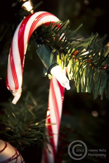 IMG_9350-Dec7-edited-logo.jpg
