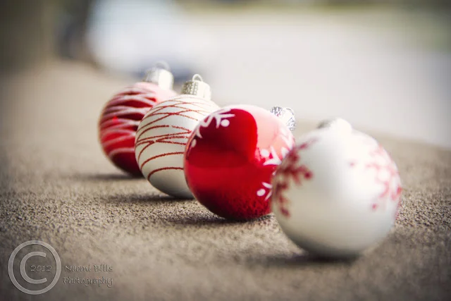 IMG_9356-Dec8-edited-logo.jpg