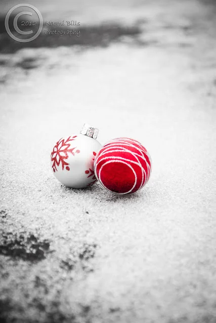 IMG_9422-Dec12-edited-logo.jpg