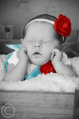 IMG_1055-bw-color-edited.jpg