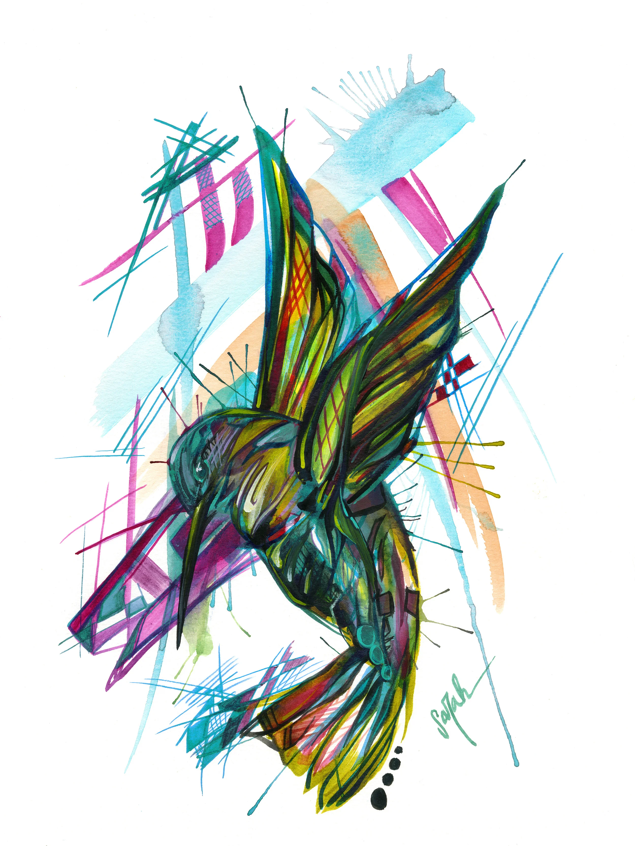 Colibri (scan).jpg