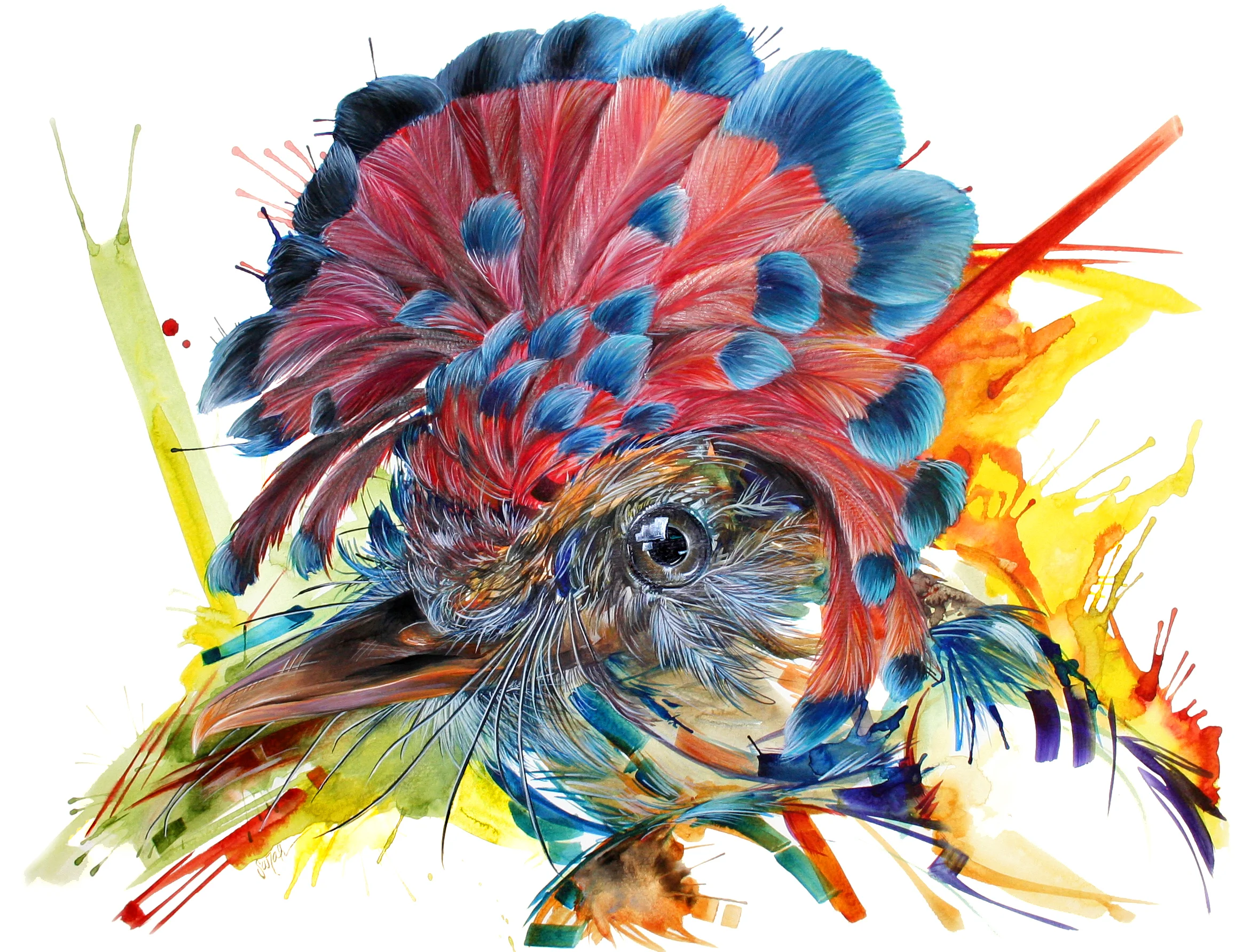 Mardi Gras Bird.jpg