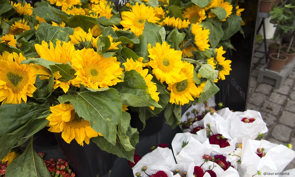 Flower Market in Copenhagen