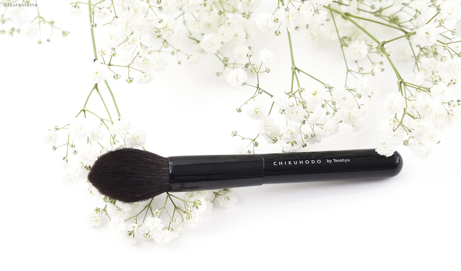Chikuhodo Highlight Brush Z-2