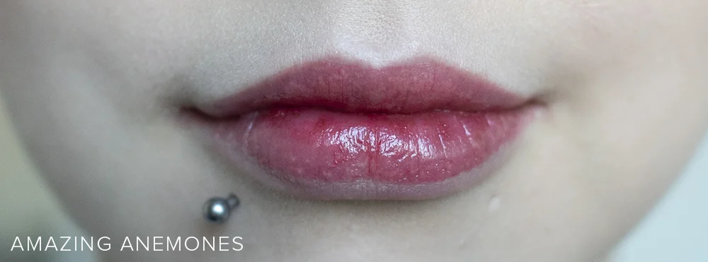 Rouge Bunny Rouge ENCHANTING BLOOMS Tinted Luxe Balms | Laura Loukola Beauty Blog