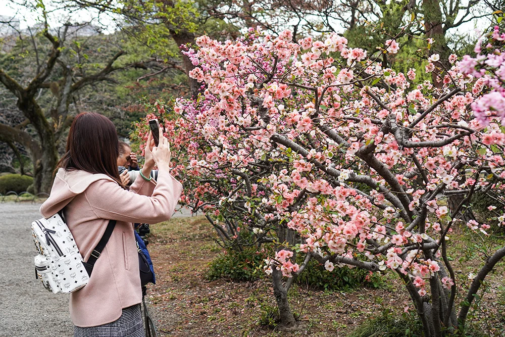 What's J-Beauty? - a Beginner's Guide to Japanese Beauty | Laura Loukola Beauty Blog