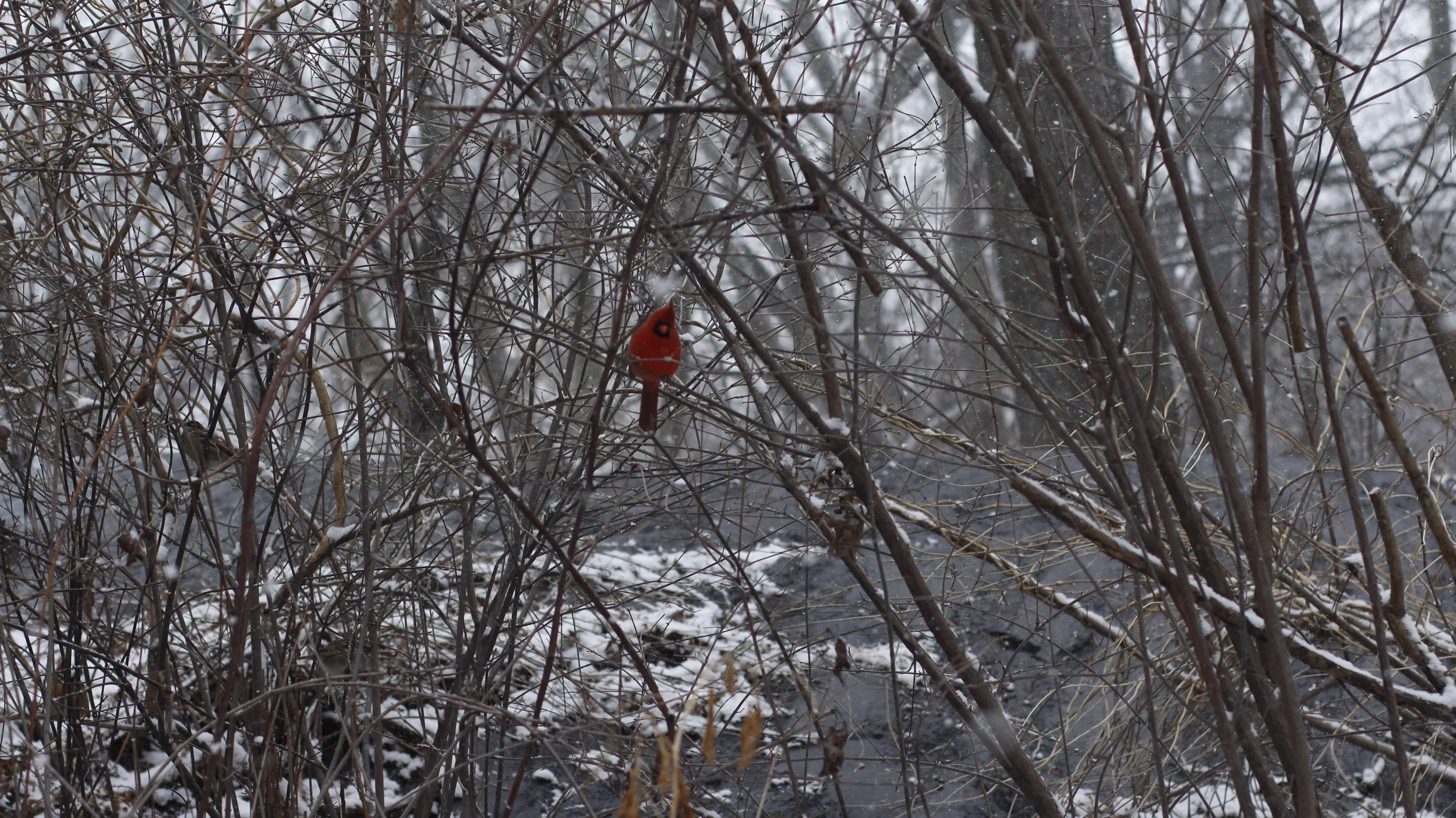 Paul's MacBook's Broken:(