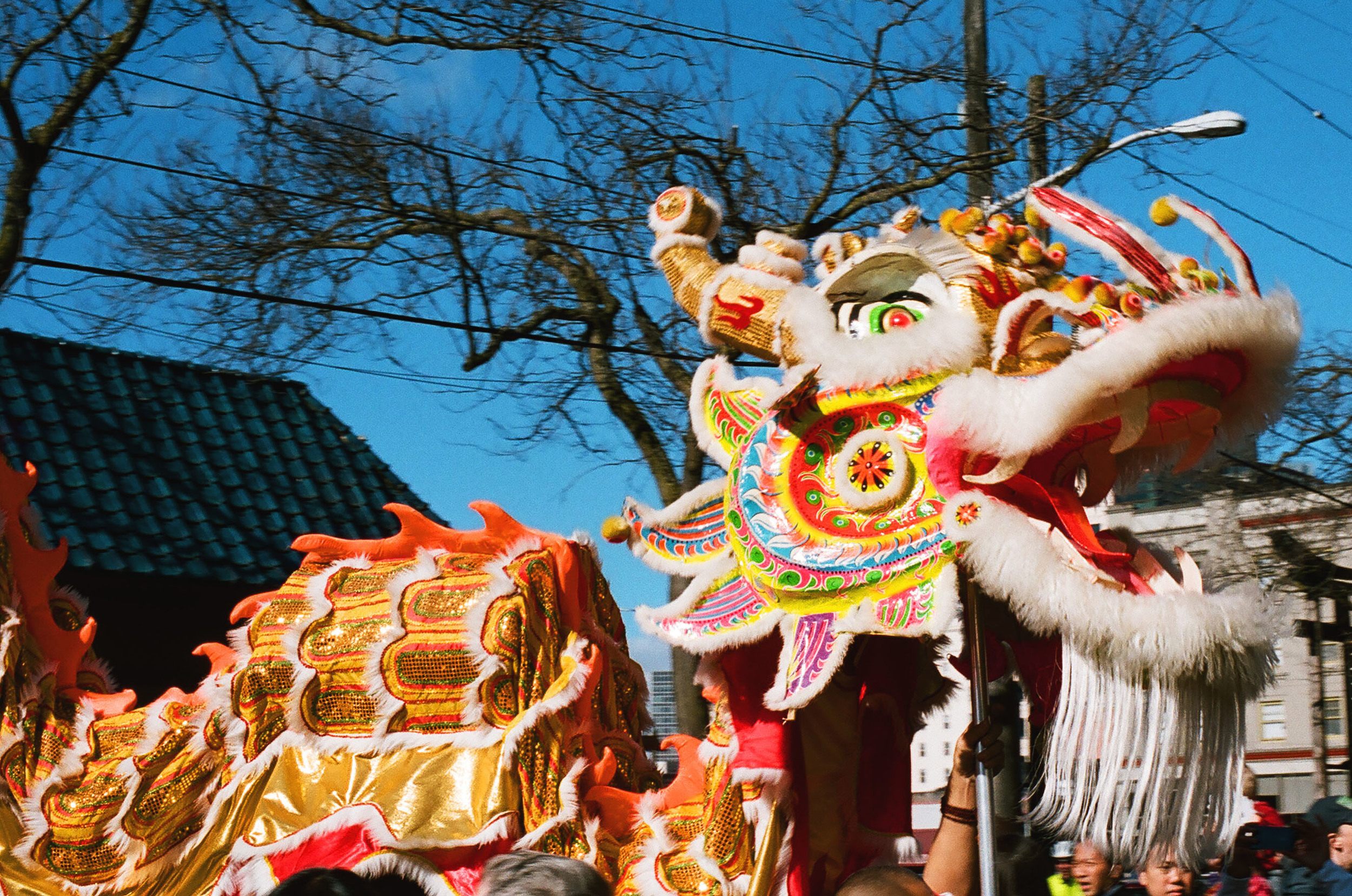 Dragon Dance