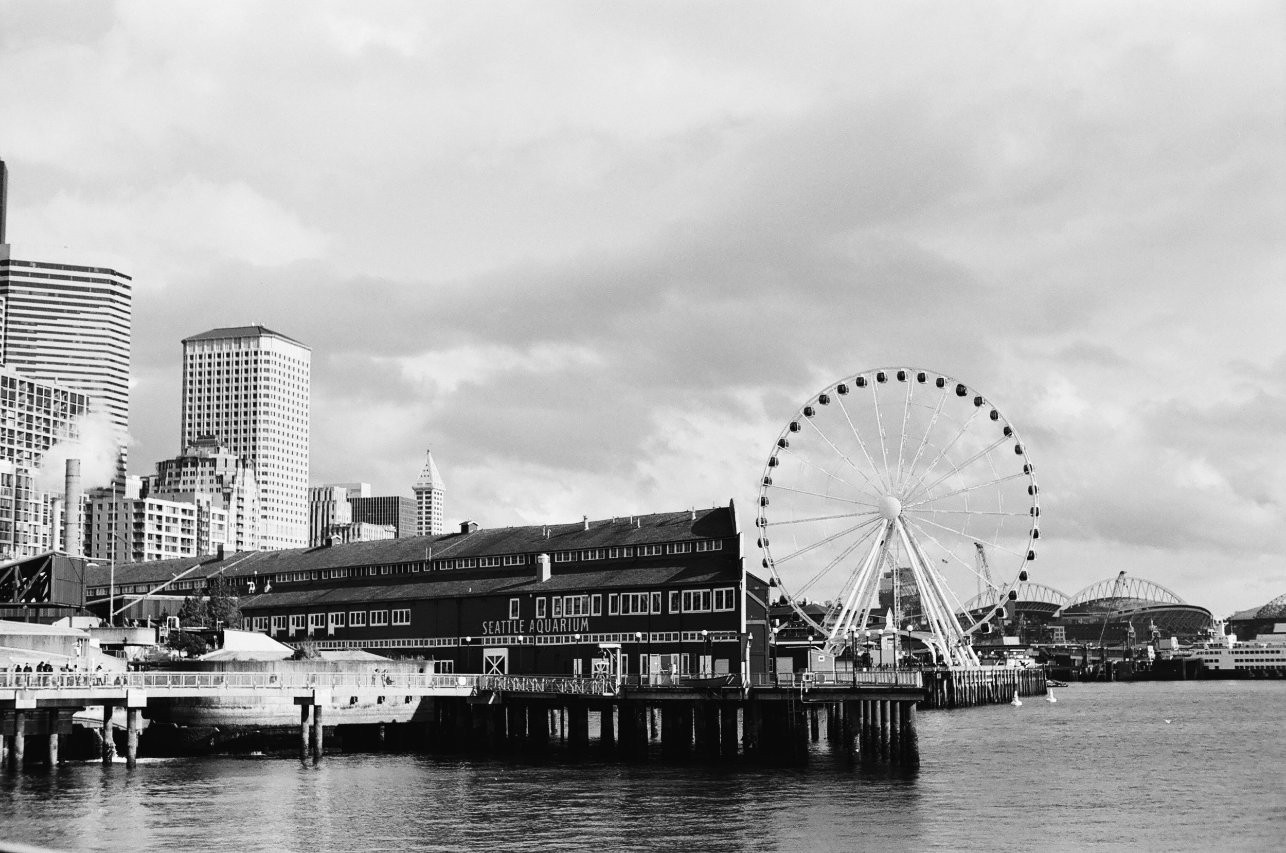 The Great Wheel of Seattle