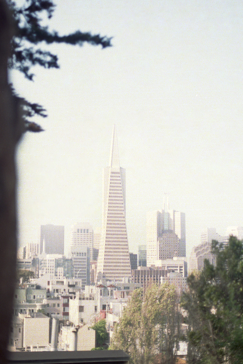 The Transamerica Pyramid via the Coit Tower