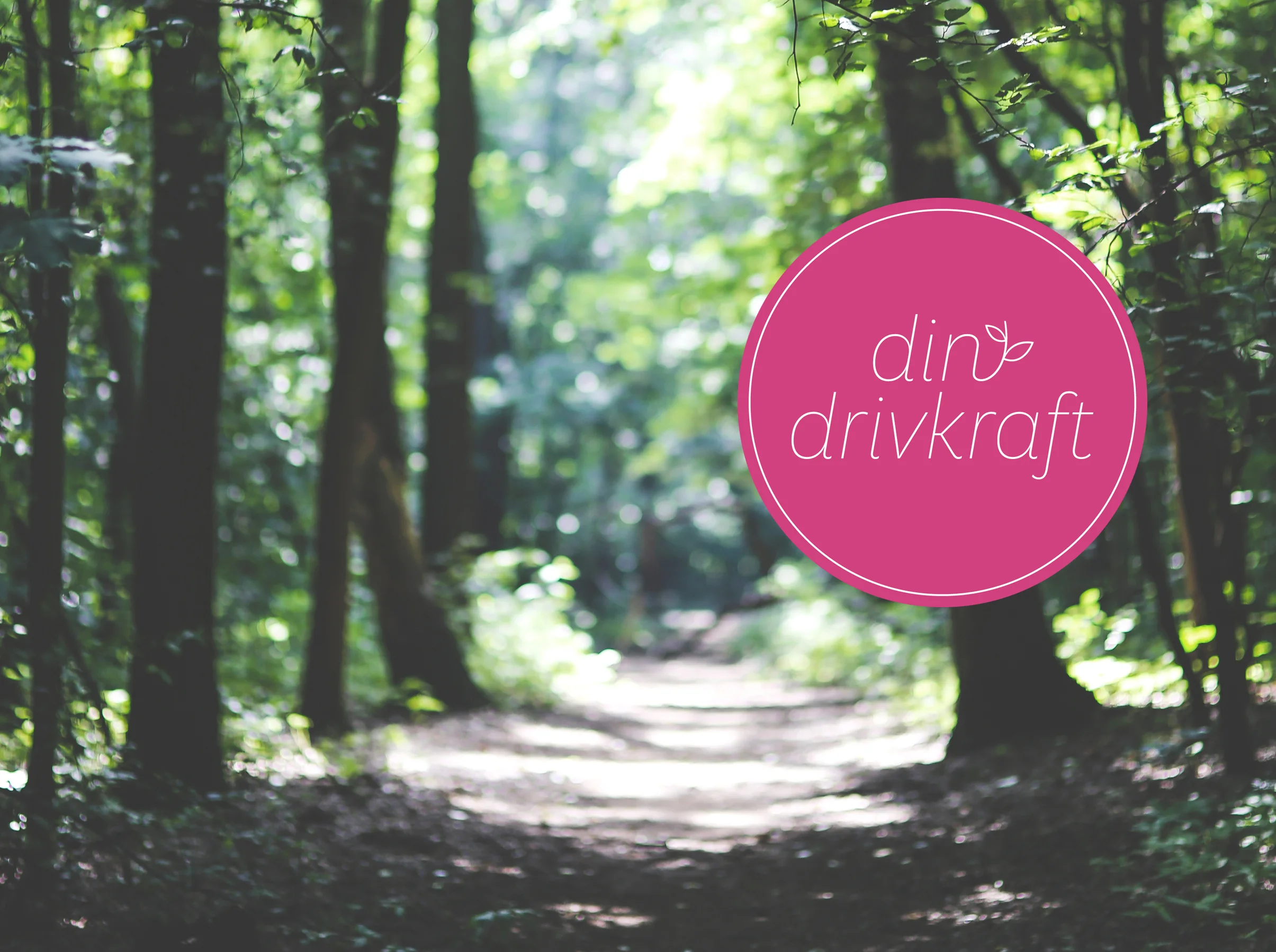 DinDrivkraft3.jpg