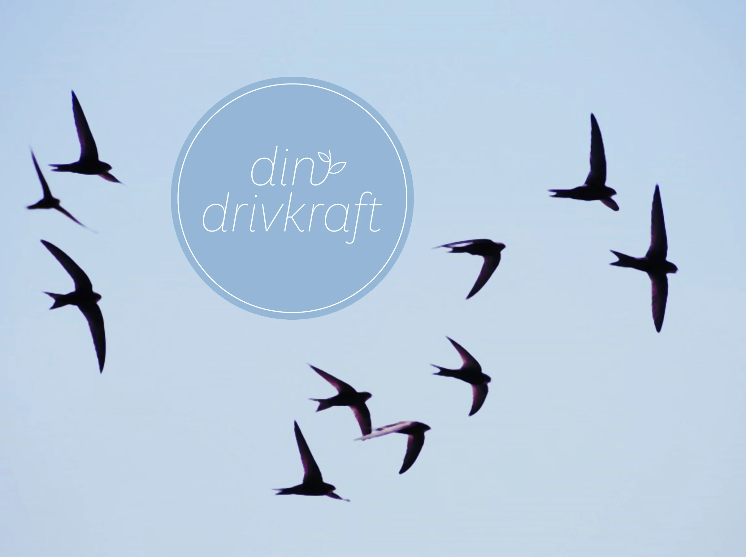 DinDrivkraft4.jpg